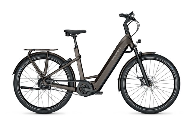 IMAGE 7.B EXCITE+ KALKHOFF