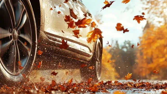 Auto fährt auf nasser, mit Laub bedeckter Straße im Herbst